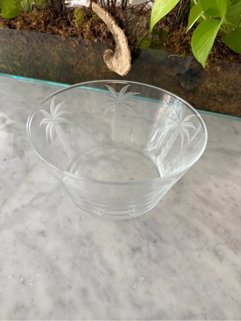 South Carolina Etched Palm Tree Bowl Palmetto